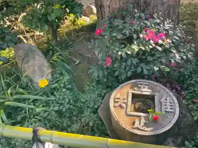 常性寺(東京都)