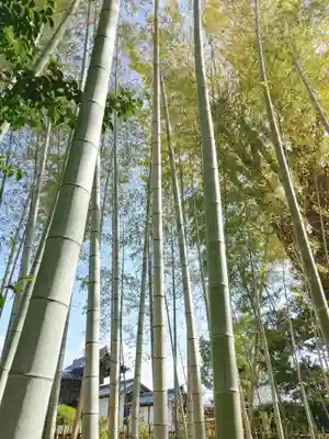 大安寺(奈良県)