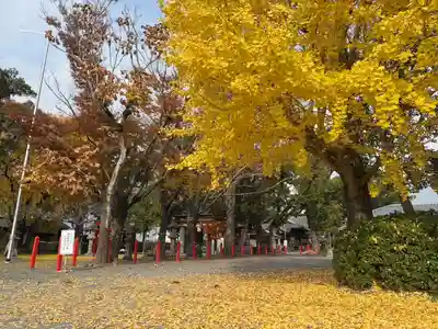 美奈宜神社(福岡県)