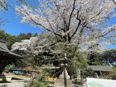 北野天神社(埼玉県)