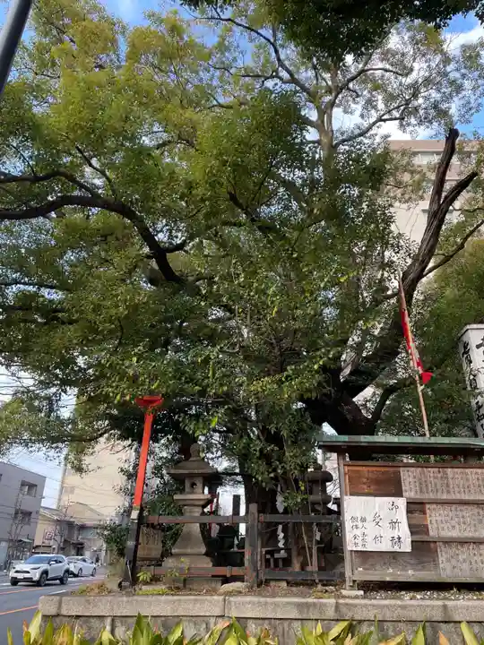 若一神社(京都府)