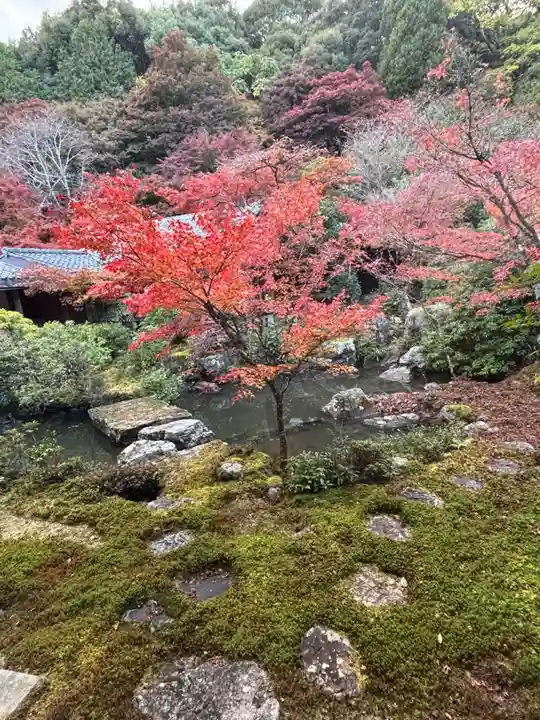 実相院門跡(京都府)