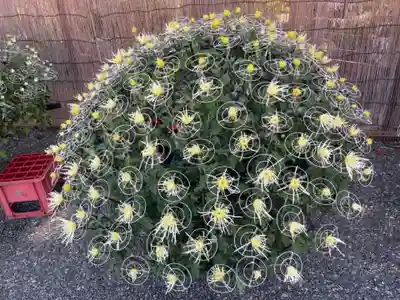 亀戸天神社のその他建物