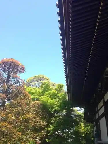 大雲寺の本殿