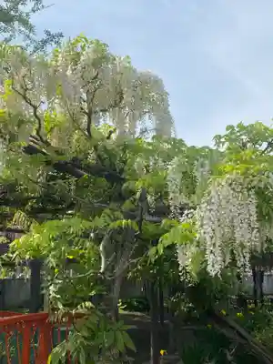 行興寺(静岡県)