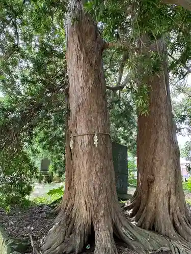 海上八幡宮(千葉県)