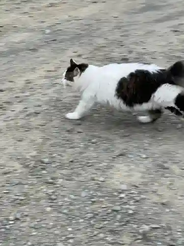 妙義神社(群馬県)