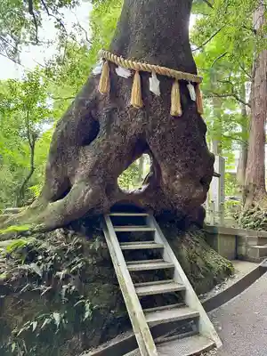 笠森寺(千葉県)