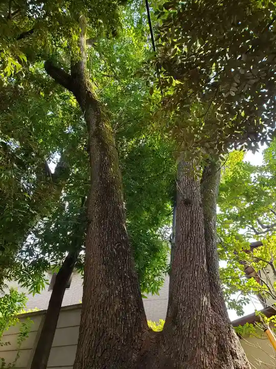 渋谷氷川神社(東京都)