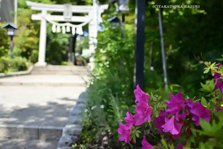星川杉山神社(神奈川県)