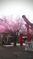 彌彦神社　(伊夜日子神社)の動物