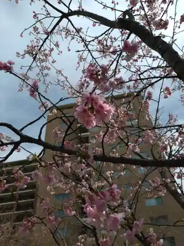 宮代神社(東京都)