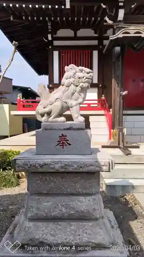 関根神社の狛犬