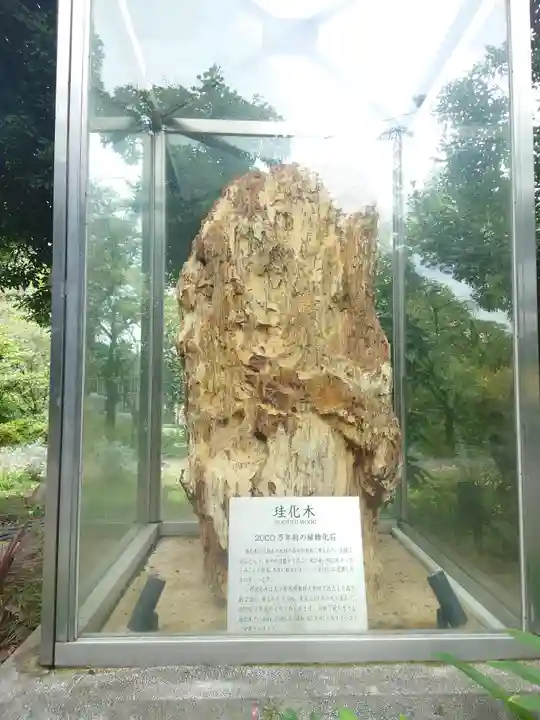 よみうりランド観音(東京都)