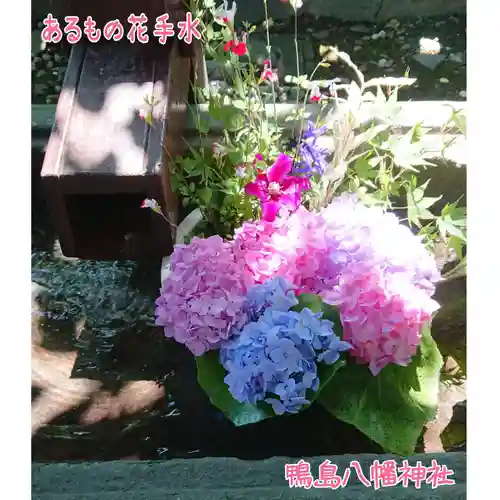 鴨島八幡神社の自然