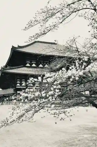 東大寺の{uncategorized: "未分類", other: "その他", undefined: "問題あり", building: "その他建物", grave: "お墓", sacred_gate: "鳥居", guardian: "狛犬", statue: "像", buddha: "仏像", history: "歴史", nature: "自然", garden: "庭園", animal: "動物", pagoda: "塔", temizu: "手水舎", mountain_gate: "山門・神門", sanctuary: "本殿・本堂", subordinate: "末社・摂社", art: "芸術", scenery: "景色", jizo: "地蔵", ema: "絵馬", goshuin: "御朱印", omikuji: "おみくじ", items: "授与品その他", amulet: "お守り", goshuincho: "御朱印帳", eats: "食事", festival: "お祭り", votive_dance: "神楽", shichigosan: "七五三参", wedding: "結婚式", experience: "体験その他", initially: "初詣", around: "周辺", anti_infection: "感染症対策"}