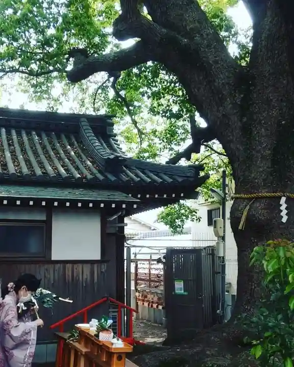 阿保神社(大阪府)