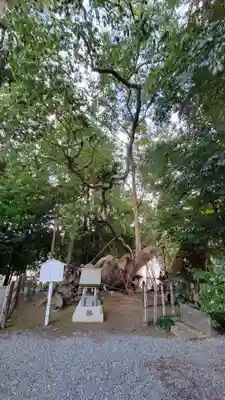 草薙神社のその他建物