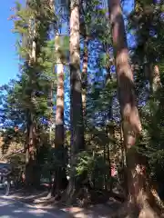 小國神社(静岡県)