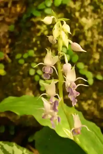 定福寺(高知県)