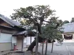 素盞嗚神社の自然