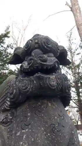 新琴似神社の狛犬