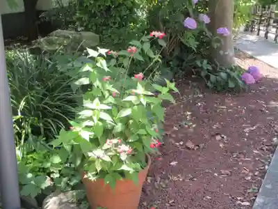 東福寺(神奈川県)