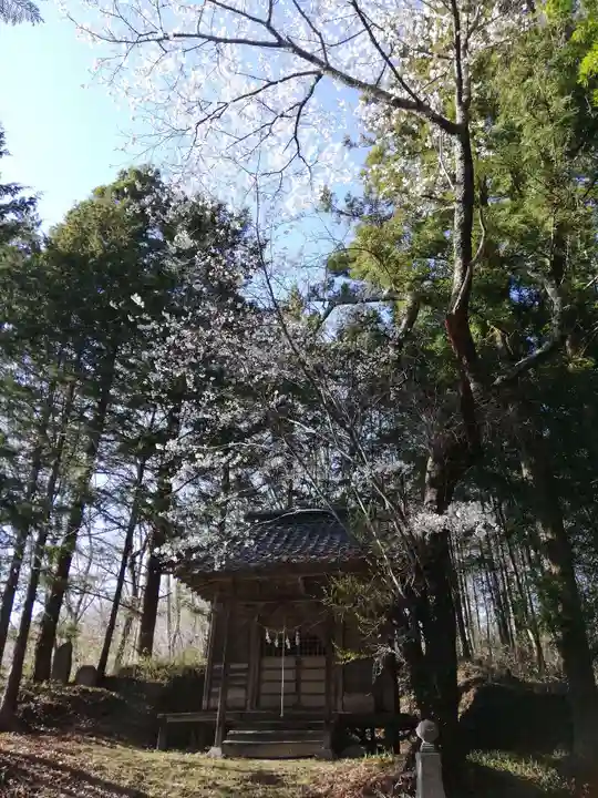 八幡神社(福島県)