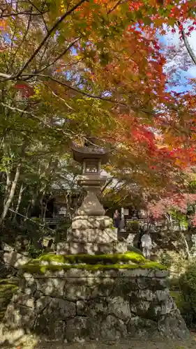 勝持寺（花の寺）(京都府)