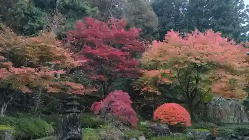 圓融寺(埼玉県)
