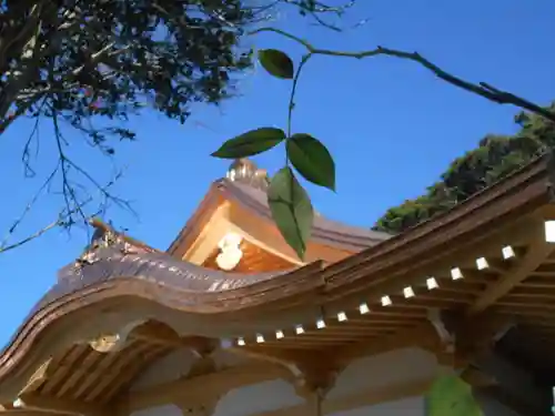 別願寺のその他建物