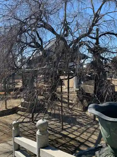 五宝寺(群馬県)