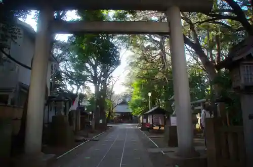 ときわ台天祖神社の鳥居
