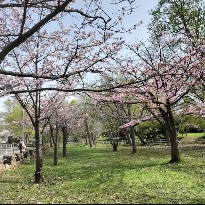 札幌護國神社の自然