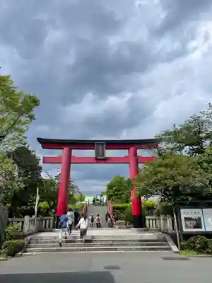 亀戸天神社の鳥居