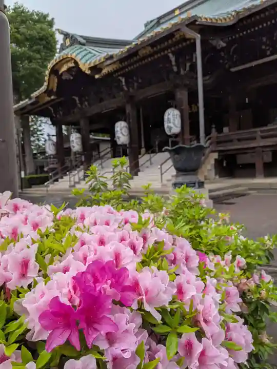 妙法寺(東京都)
