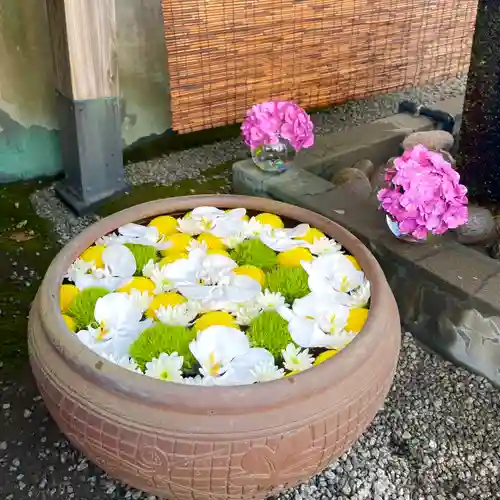 上尾御嶽神社の手水舎