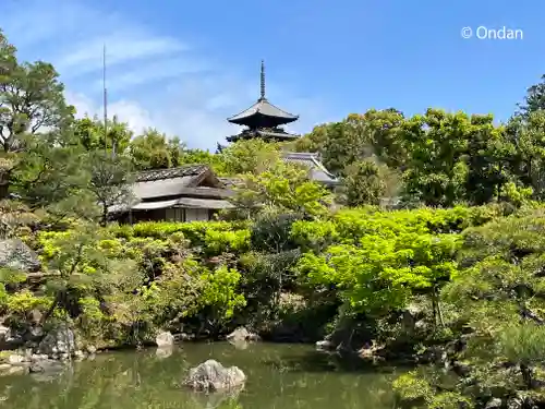 仁和寺(京都府)