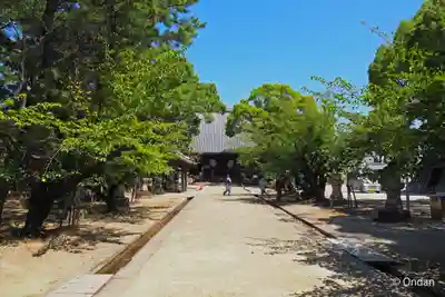 大樹寺（松安院大樹寺）(愛知県)