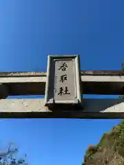 伏木香取神社(茨城県)