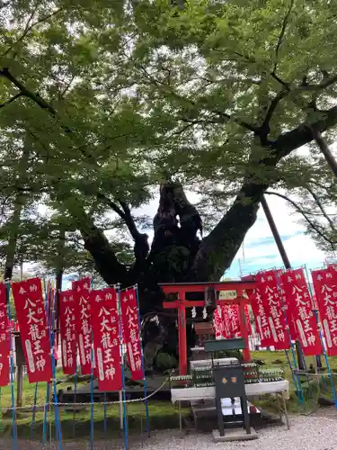 秩父今宮神社(埼玉県)