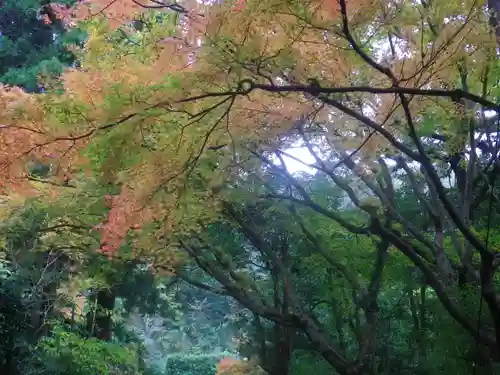 寿福寺の景色