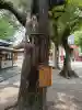 御霊神社(大阪府)