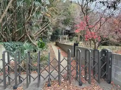 白藤神社(千葉県)