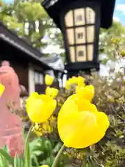 白鳥神社(長野県)