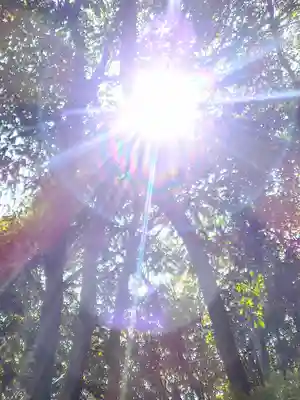早瀧比咩神社(岡山県)
