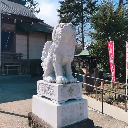 櫻岡大神宮の狛犬