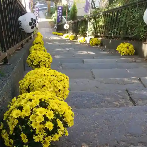 牛天神北野神社の景色