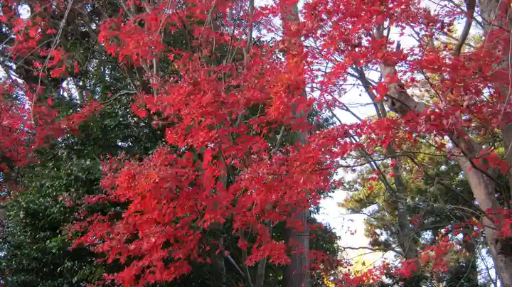 鵜川神社の庭園