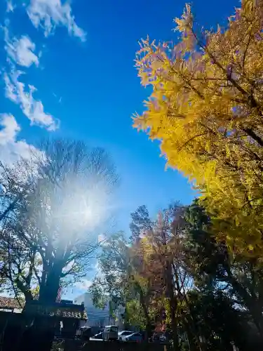 三栖神社(京都府)